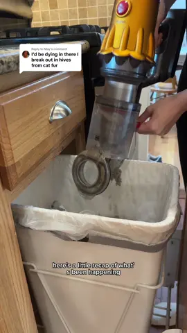 Replying to @May A recap and update on the progress in removing all pet dander from the previous tenants in our home #cleaningtok #cleanwithme #cleaningvideos #cleaningmotivation #CleanTok #carpetshampoo #satisfying #cleaningafterpets 