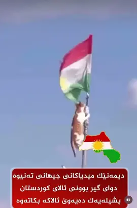پشیلەیکی کورد پەروەر  🫡😁#kurdistan #erbil #foryoupage #ئەکتیڤبن🥀🖤ـہہـ٨ــہ #foryou #fypシ #Love #الحمدالله_علی_کل_حال❤ #لا_اله_الا_الله #uk #iraq 