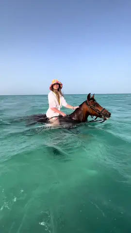 Hurghada 📍 #sunsethorseranchhurghada #hurghada_الغردقه #horseriding #summervibes #beachvibes #travel #holiday #horseridinginhurghada #equestrianlife 