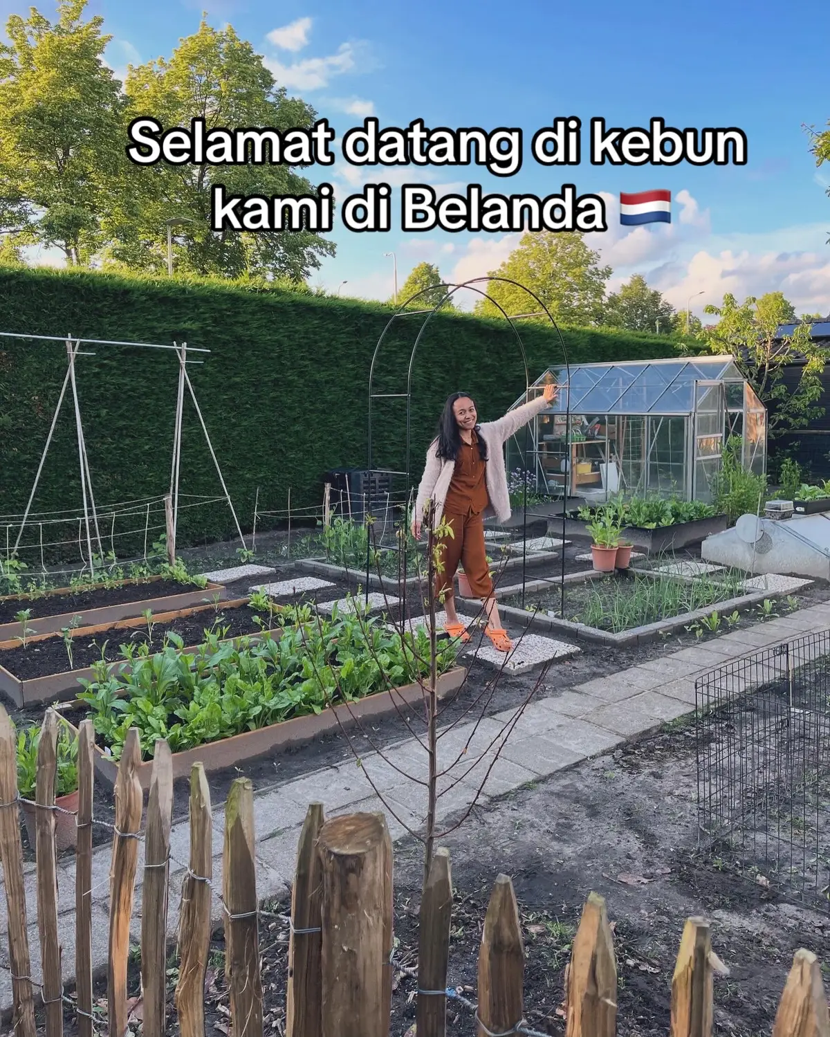 Selamat datang di kebun kami. Kali ini ada beberapa buah yang ada di kebun kamu. Ada yang ngenalin gak buah apa aja? #indonesianlivinginnetherland #pedesaan #fypシ #kebunsayur #belanda #gardening #gardeninspiration 