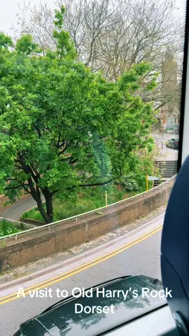 #oldharryrocks #bournemouth #dorset #unitedkingdom #taylorswift #cruelsummer #spreadlove #Love #spring #Summer #erastour #team #teamwork #manchesterunited #england #trending #tiktok #tiktokindia #adventure #travel #Lifestyle #greenscreen #beach #rock 