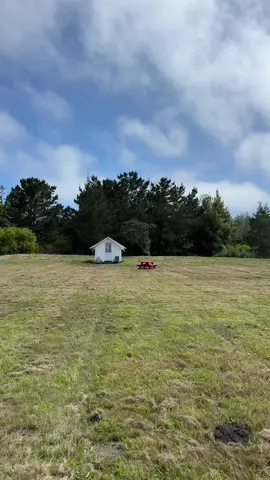 Pescadero glamping weekend vlog 🌲🏕️🌊  #sftok #sfdaytrip #diml #weekendvlog #campingvlog #californiaglamping #glamping #norcal #coastal #sftiktok #weekendtrip 