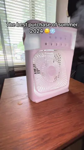 You NEED this for summer 🥵💨❄️ #summervibes #Summer #aircooler #ac 