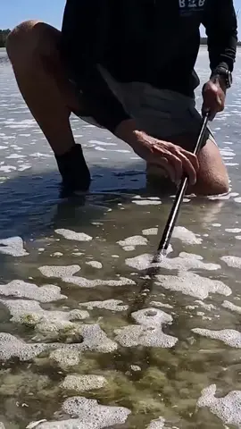 #bushcraftsurvival#fishing#fishtok#survival #foryou #viralvideo