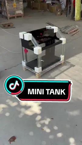 Mini tank #lookfish #fishtank #minitank #hồcá #bểcácảnh #aquarium #nuoica 