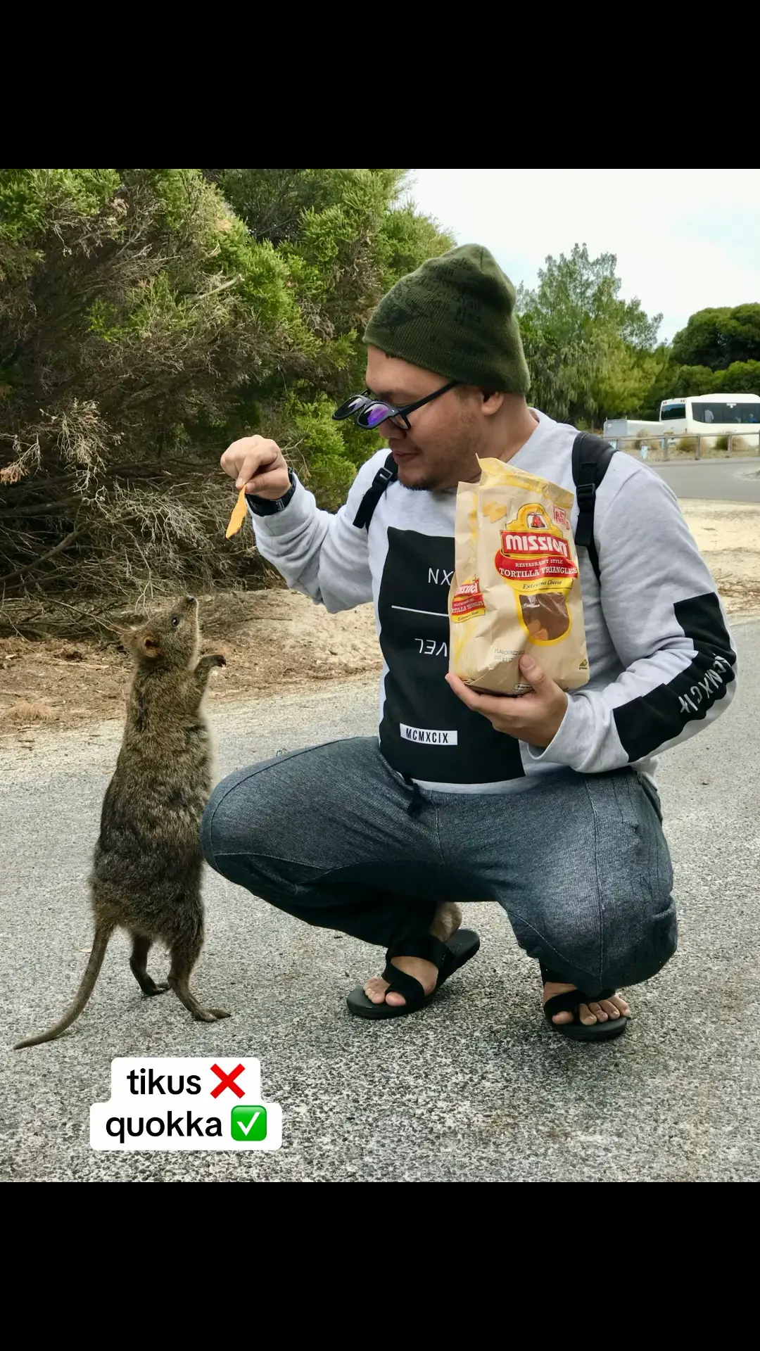 quokka  #rottnestisland 