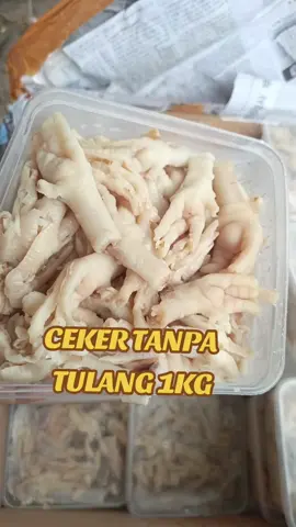 celer tanpa tulanv ready buanyaaak