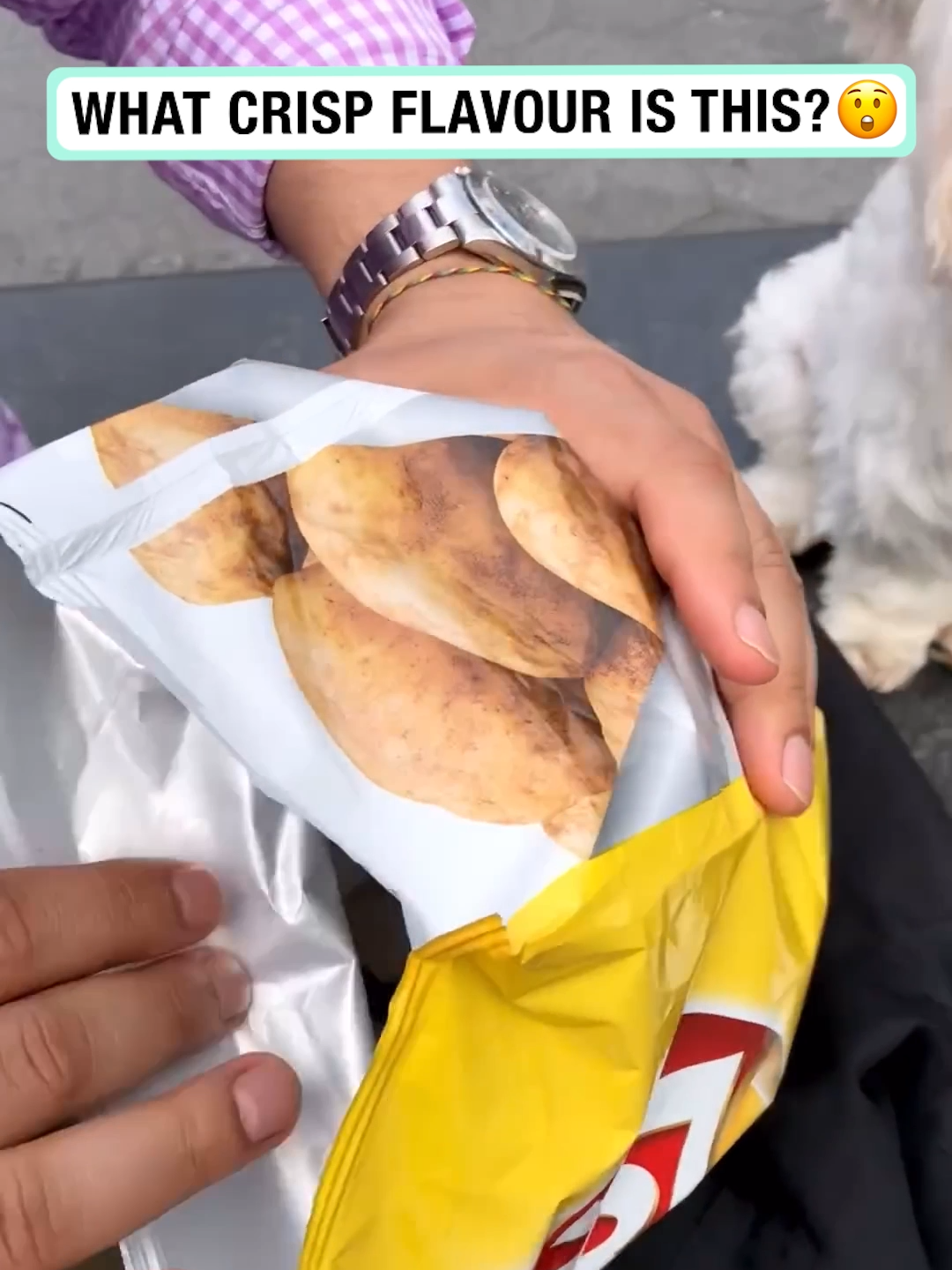 Where do they sell these? Asking for a friend x (🎥: ig/the_doggie_days) #dogsoftiktok #crisps #cutedogs #cute #funny