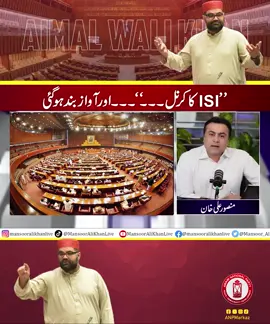 Mansoor Ali Khan about Aimal Wali Khan Speech in Senate & Censorship