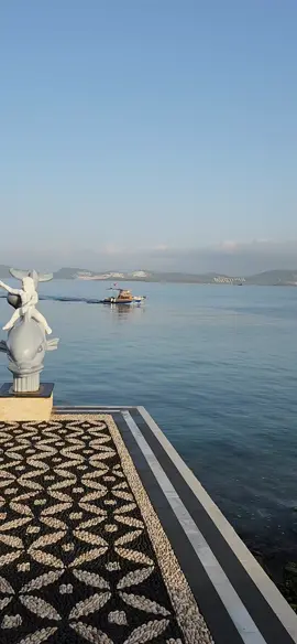 #güllük #bodrum #milas #tbt 