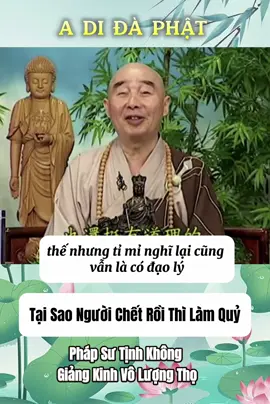 Pháp Sư Tịnh Không -Giảng Kinh Vô Lượng Thọ 🙏🏻🙏🏻🙏🏻 #phapsutinhkhong #nammoadidaphat #phatphapnhiemmau #adidaphat #xuhuongtiktok #xuhuong 