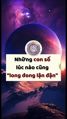 Những con số lúc nào cũng long đong lận đận#thansohoc #nguyenhavitus #trend #ungdungthansohoc #vitussystem 