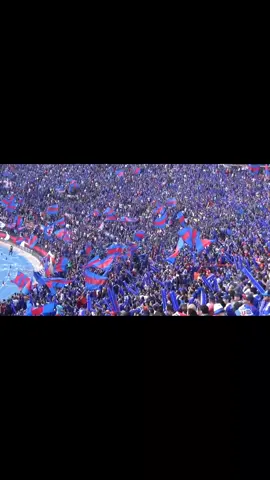 Indio cumaa!! 🤘💙❤ #losdeabajo #canciones #famoso #viral #udechile #lamejorhinchadadelmundo #parati 