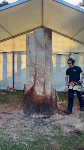 My Chainsaw Carving Competition piece, 'The Hunter' made in 23 hours!! 😱😅 #woodworking #sculpture #bigcat #jaguar #artist #woodart