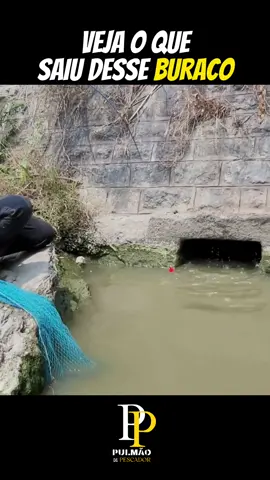 #pesca #pescaria #pescando #pescador 