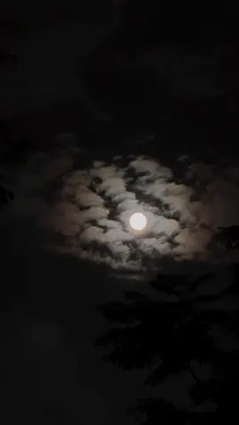Trăng nay đẹp phết…. #moon #moonknight #night #nhachaymoingay #nhacnaychillphet #nhactamtrang #xuhuongtiktok2024 #xuhuong2024 #thinhhanh #thinhhanhtiktok #foryou 