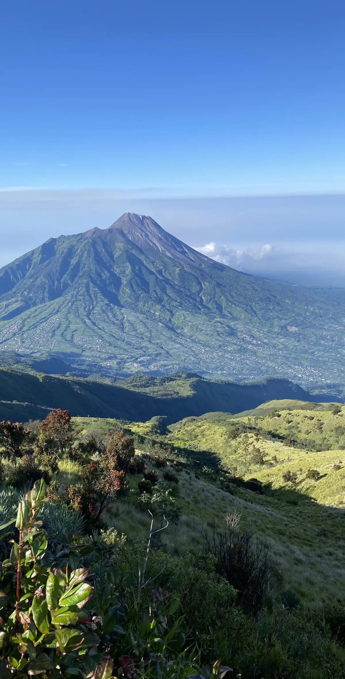 #wallpaper #gunungindonesia #merbabu #tektokmerbabu #merbabumountain #merbabu3142mdpl #merbabuviasuwanting #sabanasuwanting #fyp #fypシ゚viral #foryourpagе #masukberanda 