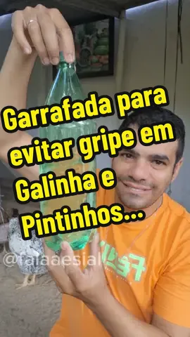 Como Fazer Garrafada NATURAL para cura da Gripe em Galinhas e gogo #natural #galinha #animais #agropecuária 