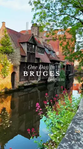 🇧🇪One Day in Bruges, Belgium Itinerary🇧🇪 • • Save this post for your next Belgium City Break! 1. Rozenhoedkaai 2. Market Square 3. Chocolatier Dumon 4. Grauwwerkerstraat 5. Genthof 6. Piegelrei 7. Burg Square 8. Groenerei 9. Hotel Bonifacius 10. Mariastraat 11. Begijnhuisje 12. Minnewaterpark • • Bruges, known as the „Venice of the North,“ is a picturesque city in Belgium renowned for its medieval architecture and tranquil canals. A UNESCO World Heritage site, it boasts well-preserved buildings, cobblestone streets, and charming squares. Key attractions include the Belfry of Bruges, with its panoramic views, the serene Minnewater Lake, and the historic Markt square.  Bruges is also famous for its lace-making tradition, Belgian chocolate, and the enchanting Christmas market. It’s a perfect blend of history and romance. • • #bruges #bruges🇧🇪 #brugesbelgium #brügge #brugge #citytrip #citybreak #oneday #roadtrip #roadtrippin #roadtrips #belgium #belgium🇧🇪 