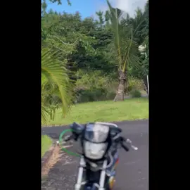 ban zfr mondial 190😍❤️ pas blier pous 1 ti like pour moi #fyppppppppppppppppppppppp #fypシ゚viralvideo #cèlibataire #mauritius🇲🇺 
