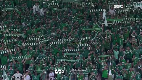 #الاهلي #ahly_love #الاهلي_فوق_الجميع #الملكي #العشق_المجنون 💚🤍