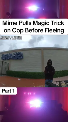 Mime Pulls Magic Trick on Cop Before Fleeing #cops #police #copsusa🚔🇺🇸 #policeofficer #foryou 