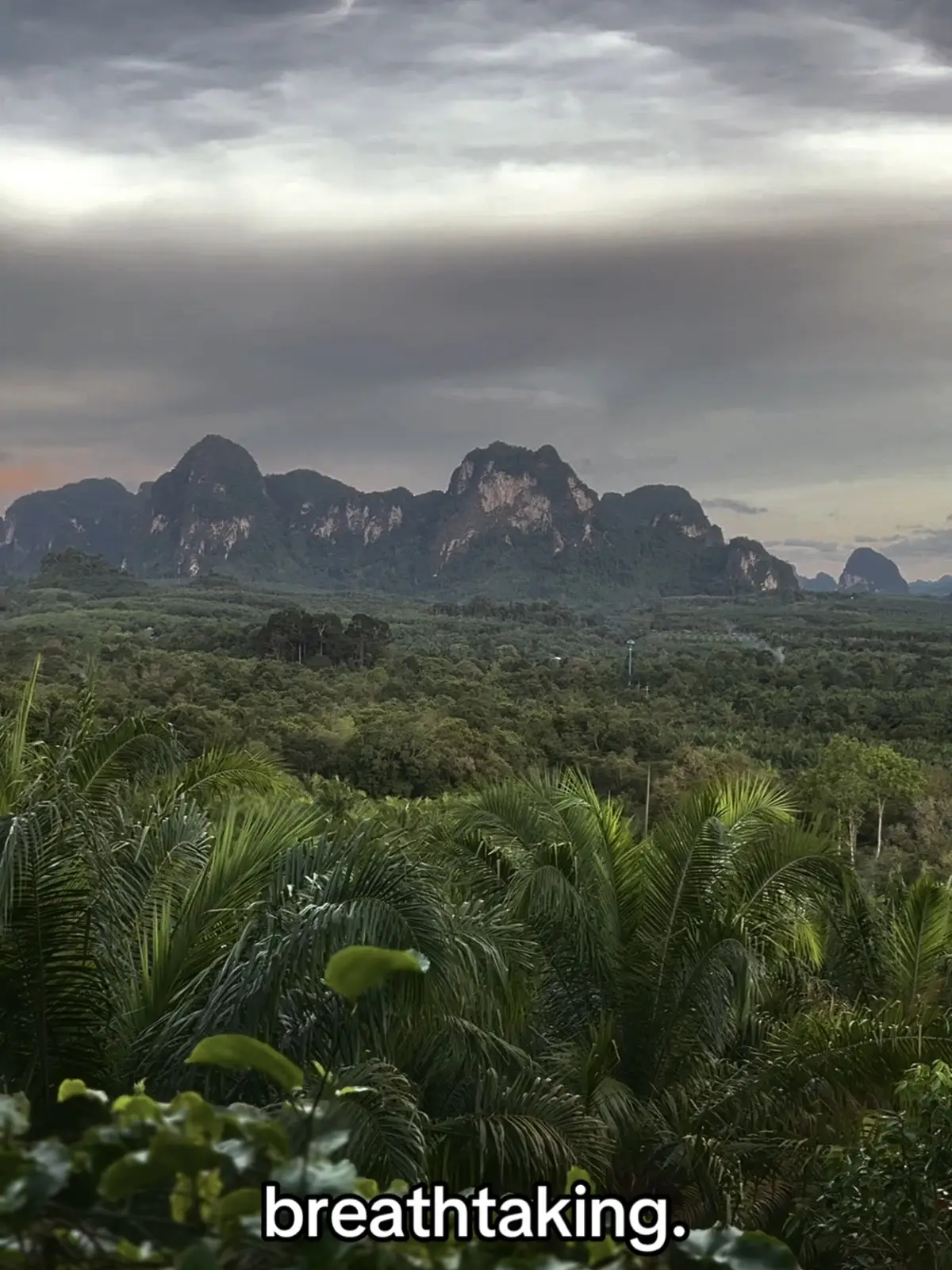 not even the locals know this place :) #thailand #thailand🇹🇭 #thailand🇹🇭tiktok #krabi #fireflies #jungle #lake #night #travel #foryou #fy #foryoupage #blog #travellife #kuannomsaowviewpoint 