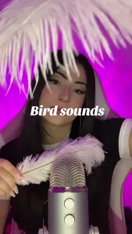 #asmr #tingles #birdsounds #bird 