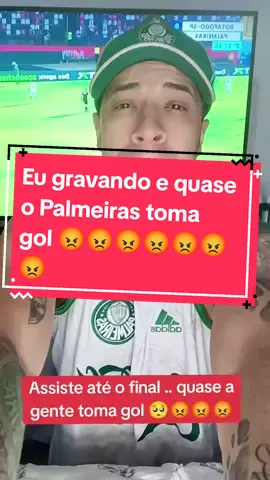Palmeiras não está jogando bem .  Botafogosp x Palmeiras. #botafogosp #palmeiras #verdão #palmeirasoficial #saopaulofc #futebolbrasileiro #fyp #viralvideo 