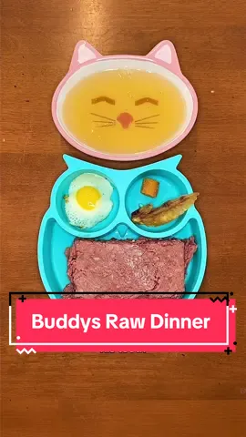 Raw dinner for my Shih Tzu, Buddy! 🥩🐶🍳 Code KaylaK9 for 15% off @Pawfy 💜 #dog #dogs #dogfood #dogmom #kibble #puppy #rawfeeding #dogfoodrecipe #dogtreats #rawfeddog #pawfy #dogfeedingroutine #pawfysupplements #madeintheusa #fyp #pawfypartner #dogrecipes #dogsoftiktok 