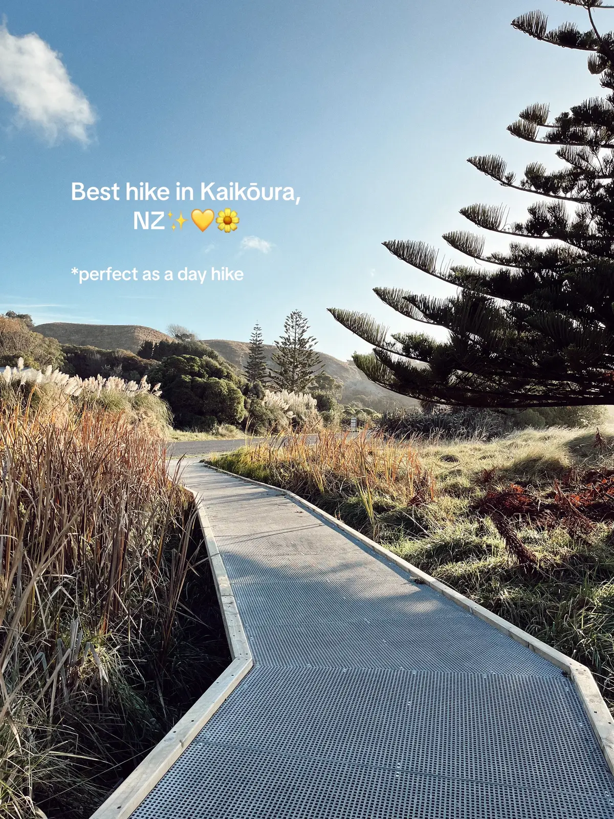 Kaikōura Peninsula Loop is not a very long hike but the scenery is very nice, worth stopping for pictures and to just simply take it in! More trail info you can find on All Trails app🫶🏼🤗✨! #visitnewzealand #newzealand #newzealand🇳🇿 #newzealander #newzealandtiktok #nzmustdo #explorenz #discovernz #kaikoura #alltrails 