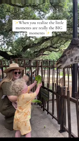 #motherhood #MomsofTikTok @Houston Zoo #fyp #foryoupage #toddlersoftiktok #diml 