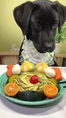 #labrador #Foodie #pets #cute #dog 