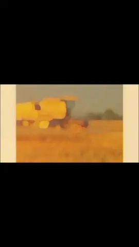 #viralvideo #foryou #barnd #pourtoi @@iPhone_12pro 