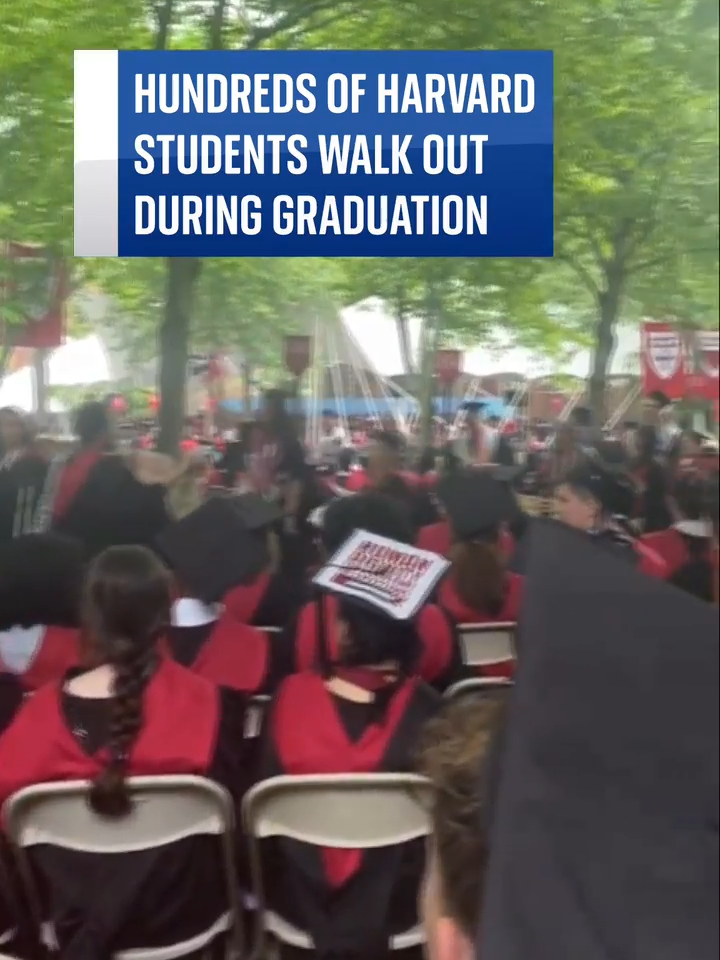 Hundreds of Harvard students walked out of their commencement ceremony ⬆️ The group who walked out were said to be supporting students who were not allowed to graduate after taking part in a pro-Palestinian encampment on campus. #Protest #Harvard #University #College #ProPalestinian #Campus