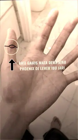 arti garis mata dewa di ibu jari,#fyp #mhzhhabibi #palmistry #garistangan 