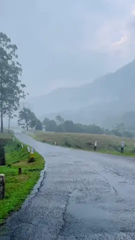 FEEL THE RAIN WITH THUNDER..... VATTAVADA, Munnar... സുന്ദരമായ ഒരു കാർഷിക ഗ്രാമം... NOSTALGIC ... #godsowncountry #keralam #naturevideos #travelvibes #naturevibes🌿 #villagevibes #dubaimallus #pravasimalayali #saudimallutiktok #bahraintiktokers🇧🇭 #mallus #malayalees #pravasikal 