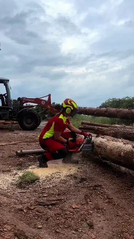 #holzgeschwister #holzarbeiten #teamarbeit mit @bley_sägewerk&holzhandel #christian #fachwerkhaus #entstehungsprozess #sägewerkbley #sägewerk #abblocken #kiefer #holzliebe #husqvarnagirl #husqvarna #husqvarna592xp #zweitaktpower #lifefire #chainsawwoman #sophie #femalewoodworker #radlader #weycore #atlas #protosintegral #kox #forsbergworks #lupriflex #engelbertstrauss #motorsägenfreunde #chainsawlover #tronçonneuse #neu #newchainsaw #ersterschliff #woodworking #holzprojekt #dankefürslesenderhashtags #😄 