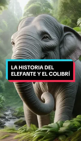 La historia del Elefante y el Colibrí. #cuento #fábula #reflexión #reflexionesmíticas 