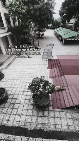 Đừng ai suy nghĩ bỏ học đi làm nữa nhé đi làm rồi mới hiểu cái cảnh...
