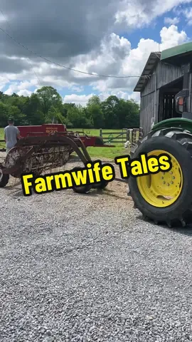 Farmwife Tales: Herds in the hay field.#familyfarm#hay#farmlifeisthebestlife#raisingkids #farmraised#farmkids#farmwife#storytime