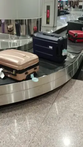 Bagasi yang baru turun dari pesawat di bandara Taoyuan Taipei, dirapikan oleh petugas sehingga lebih mudah diambil oleh penumpang.  #bandara  #taoyuantaiwan  #taipei_taiwan  #bagasi  #rapi 
