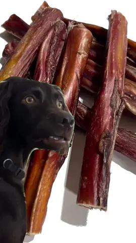 Bully Stick  100% Natural Dog Chews Every day is a treat day Make your pup happy Order now #bullystick #100 #natural #dog #chew #treat #happy 