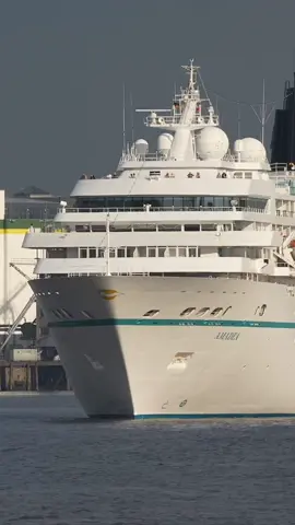 📢 Sound on 🛳️ Das Typhon der Amadea von Phönix Reisen. #kreuzfahrtschiff #hamburg #hamburghafenlive 