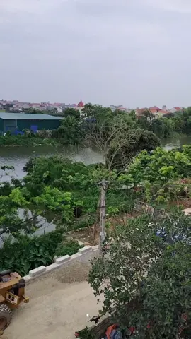 anh mời em về thăm quê anh# cảnh đẹp quê hương #xhuong 