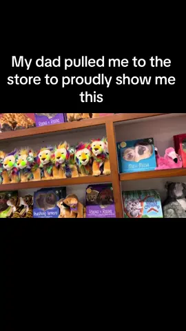 He was so proud of this pun, pride month is just around the corner #pridemonth #dadjokes #zoo #lions 