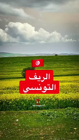 #الريف #التونسي من أجمل #الأرياف التي زرتها بشرط اختيار التوقيت المناسب فشهر #فبراير و #مارس و #ابريل من أفضل الأوقات لزيارة هذا الجمال في #شمال #تونس #تونس🇹🇳 #سفر #سياحة #سياحه #تونسي #تونسية 