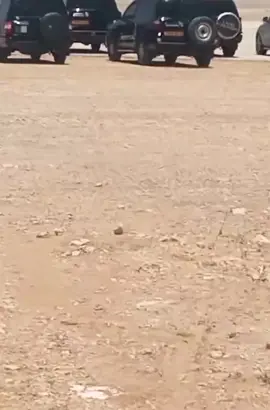 @chakibhacene875