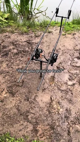 Hard Work Pays Off! 👊🏼🎣 #fyp #foryou #foryoupage #fishing #fishinglife #fishtok #angler #carpfishing #nayzofishing #viral 