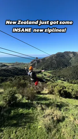 Brand new zip lines in Kaikōura New Zealand! 🤯 Tag your bestie that you’d race with!! #adventure #travel #nz #newzealand #kaikoura #zipline 